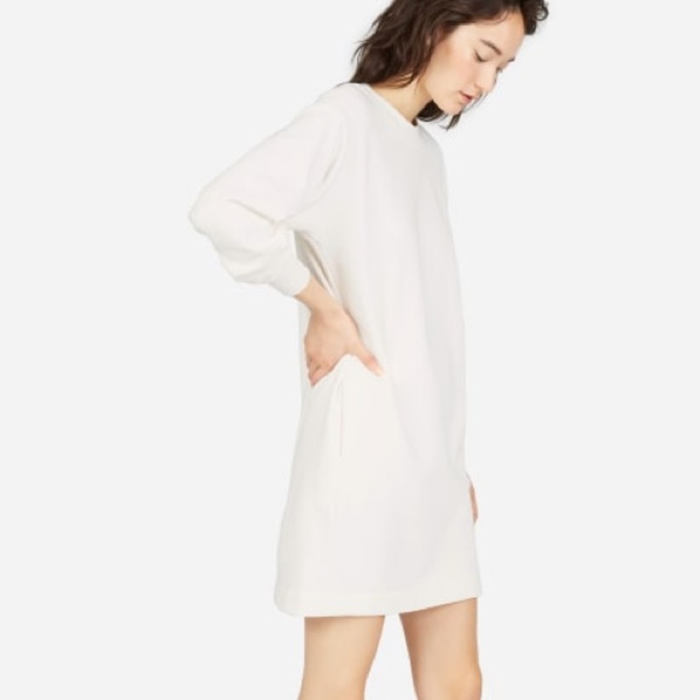 Everlane Classic French Terry Crew Neck Dress